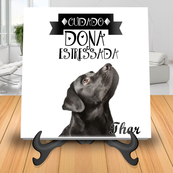 Azulejo Pet Dona Estressada