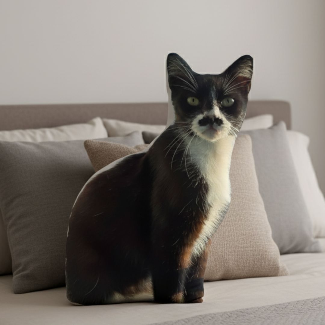 Seu Pet em Forma de Almofada 3D – Um Abraço Fofinho!